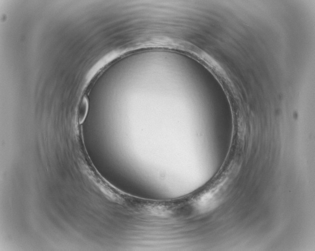 X0000087531230200705112023