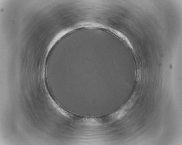 X0000087531231200705112023