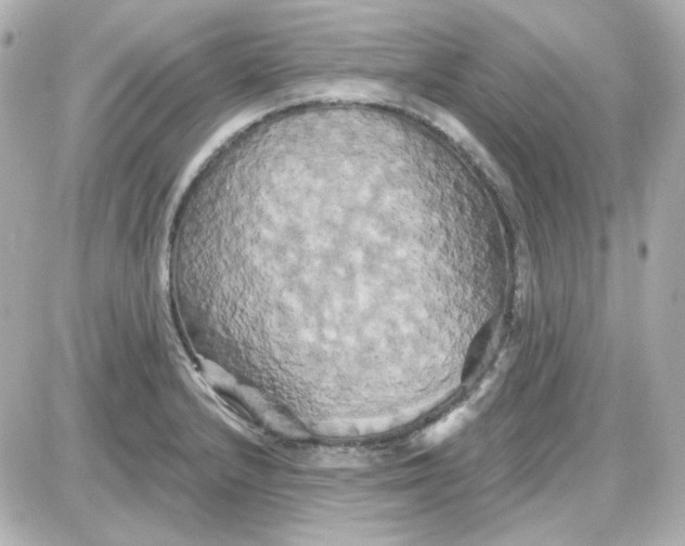 X0000087531232200705112023