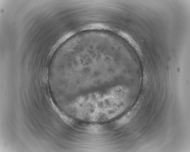 X0000087531233200705112023