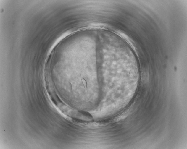 X0000087531235200705112023