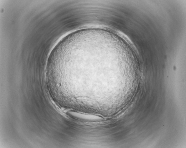 X0000087531236200705112023