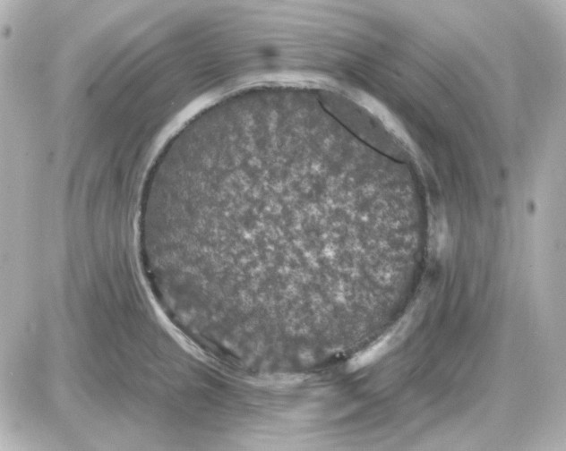 X0000087531237200705112023