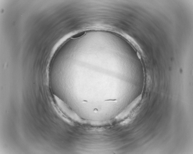 X0000087531238200705112023