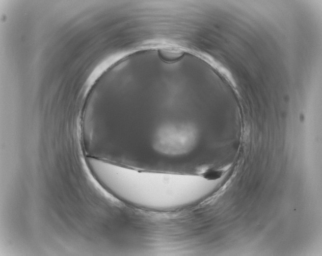 X0000087531239200705112023