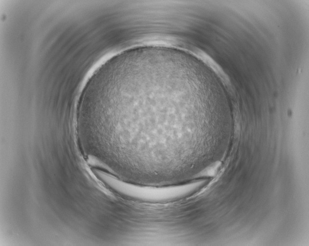 X0000087531240200705112023