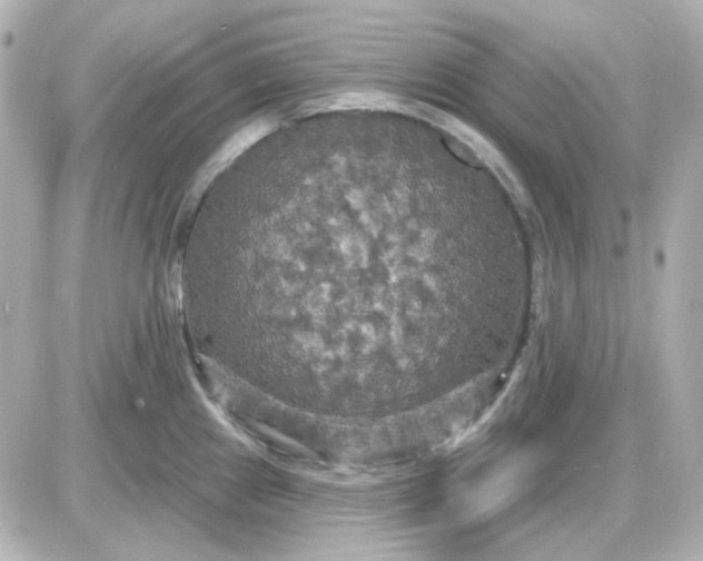 X0000087531241200705112023