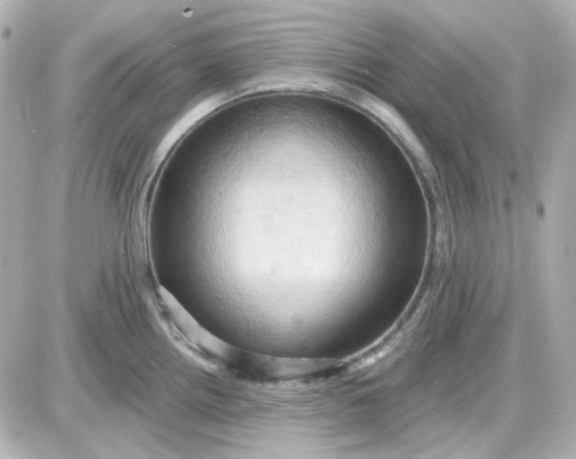 X0000087531242200705112023