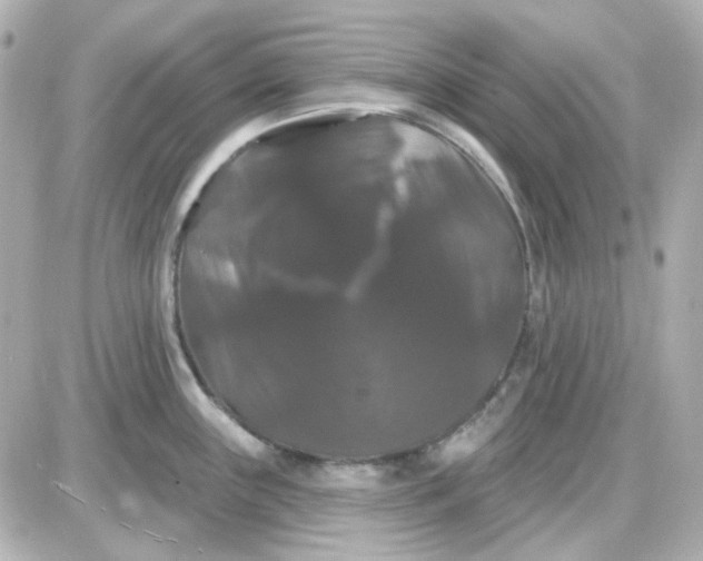 X0000087531243200705112023