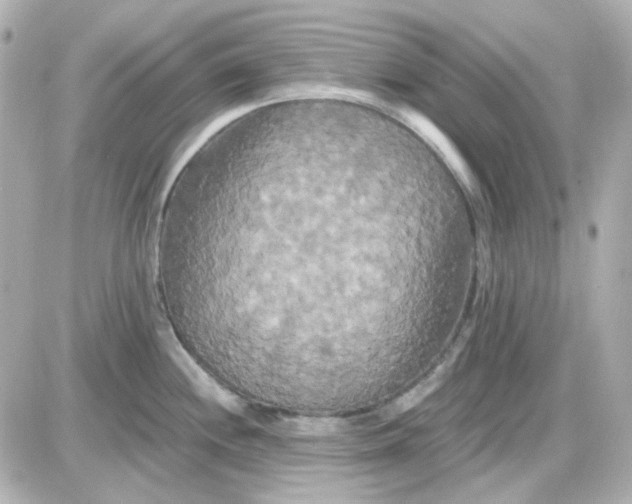 X0000087531244200705112023