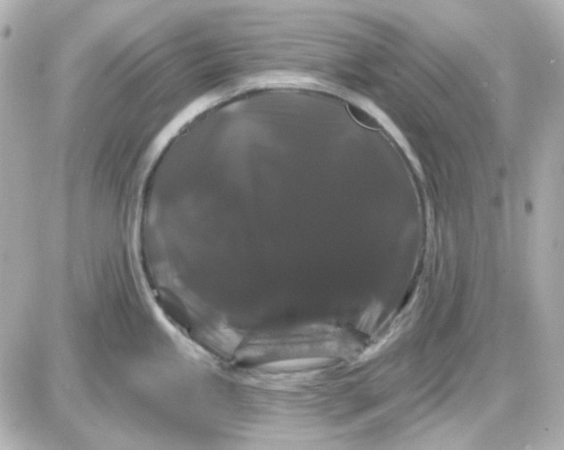 X0000087531245200705112023