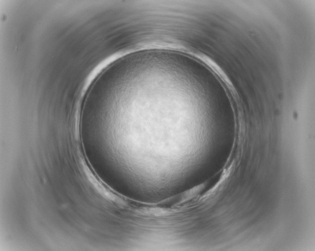 X0000087531246200705112023