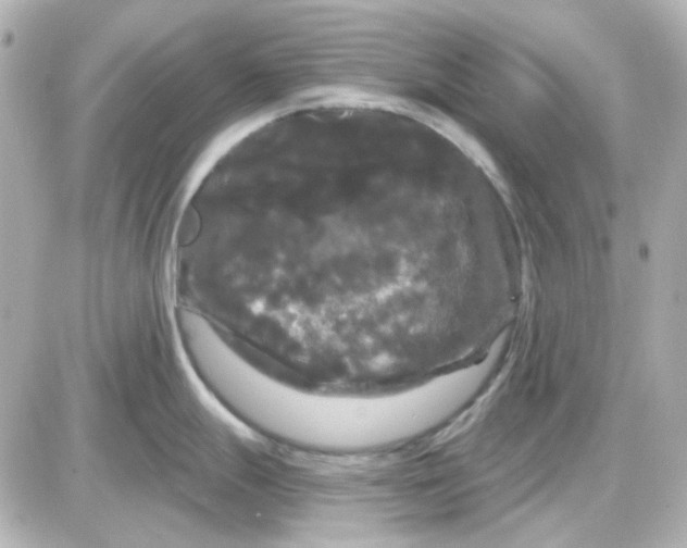 X0000087531247200705112023