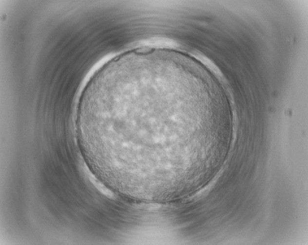 X0000087531248200705112023