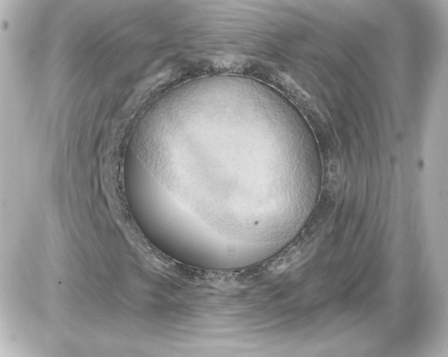 X0000087531249200705112022