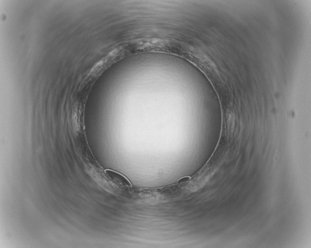 X0000087531250200705112022