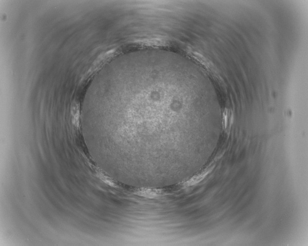 X0000087531251200705112022