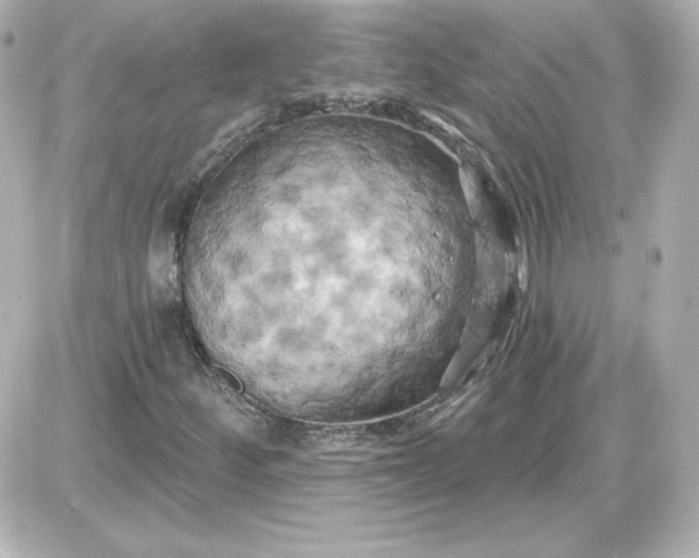 X0000087531252200705112022