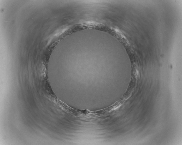 X0000087531253200705112022