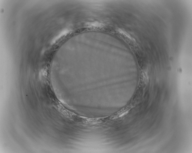 X0000087531254200705112022