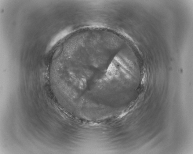 X0000087531255200705112022