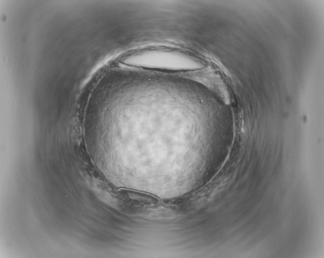 X0000087531256200705112022