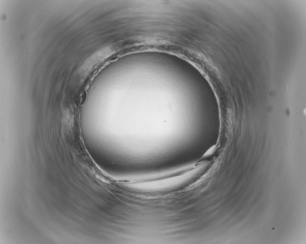 X0000087531257200705112022