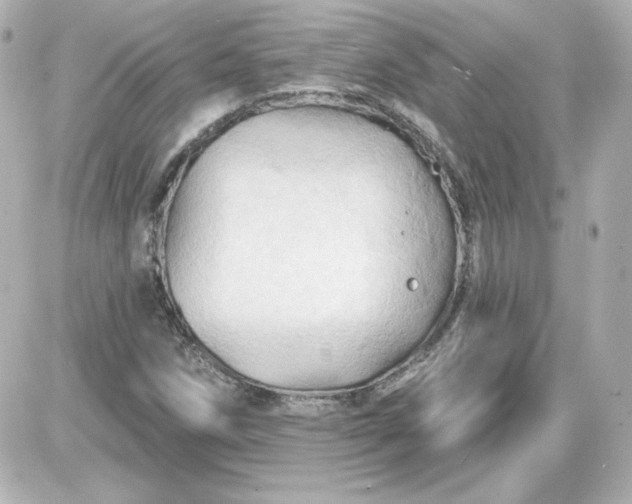 X0000087531258200705112022