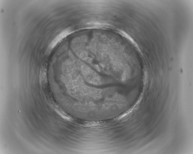 X0000087531259200705112022