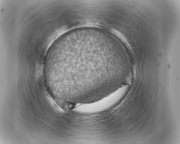 X0000087531260200705112022