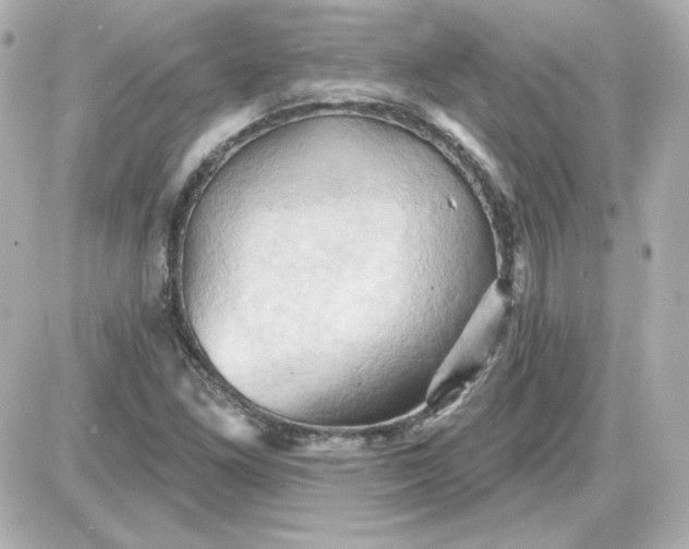 X0000087531261200705112022