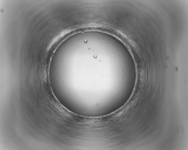 X0000087531262200705112022