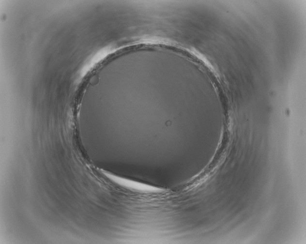 X0000087531263200705112022