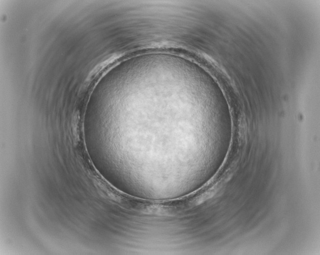 X0000087531265200705112022