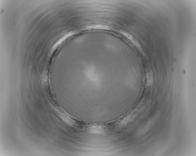 X0000087531266200705112022