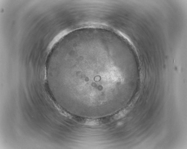 X0000087531267200705112022