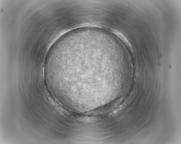 X0000087531268200705112022