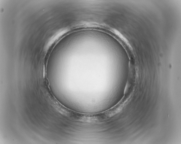 X0000087531269200705112022