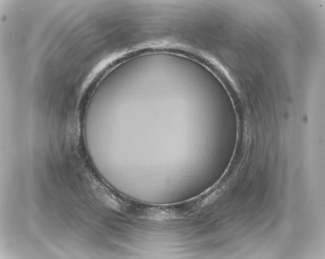 X0000087531270200705112022