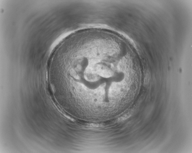 X0000087531271200705112022