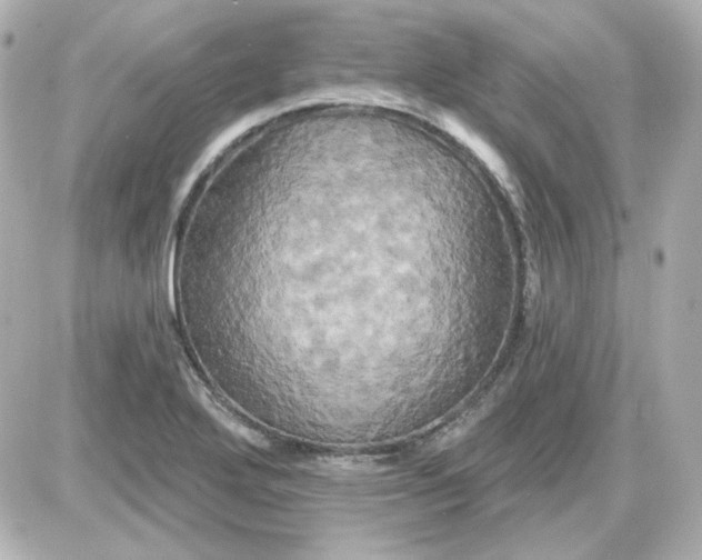 X0000087531272200705112022