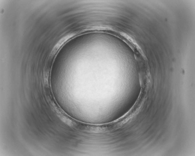 X0000087531273200705112022