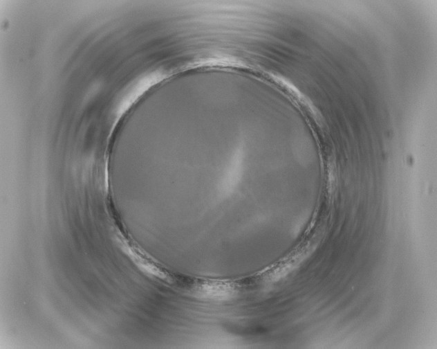 X0000087531274200705112022