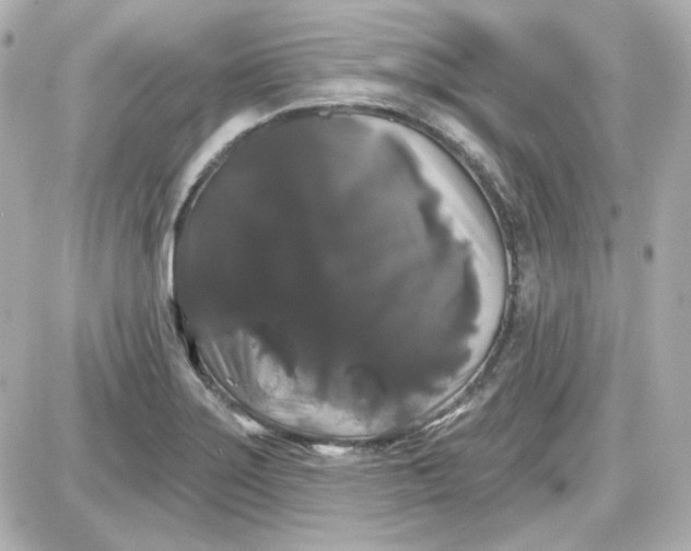 X0000087531275200705112022