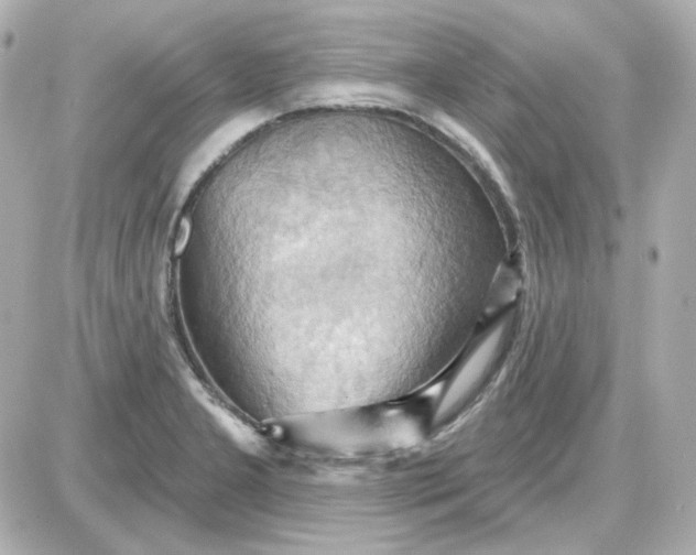 X0000087531277200705112022