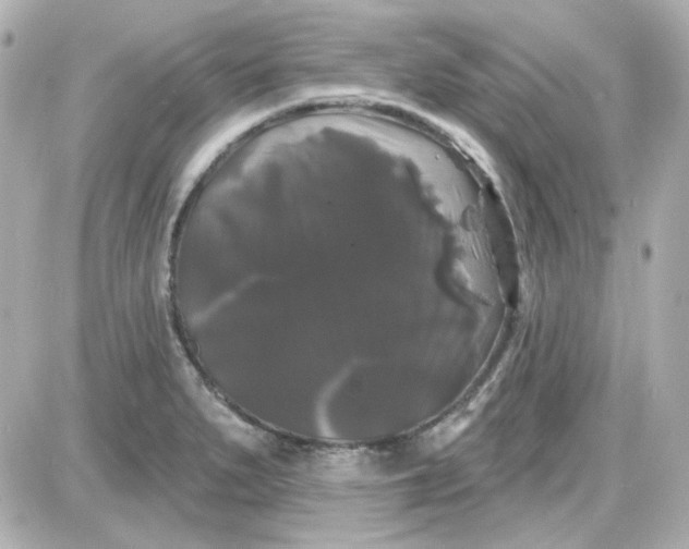 X0000087531279200705112022