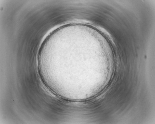 X0000087531280200705112022