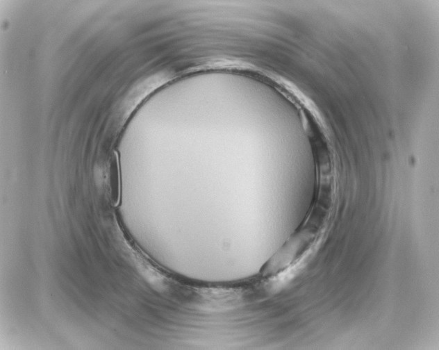 X0000087531281200705112022