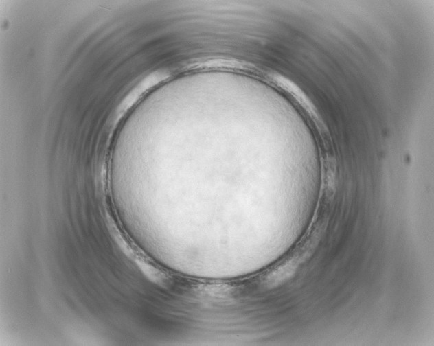 X0000087531282200705112022