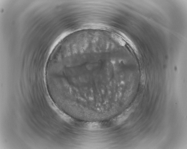 X0000087531283200705112022